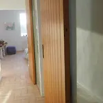 Nicasi Apartment *