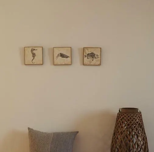 Nicasi * L' Escala